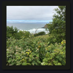 Photo by Greening Ways